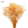 Unique Bargains Natural Dried Baby's Breath Flowers Branches for Wedding Party Decoration White 2 Pcs - 3 of 4
