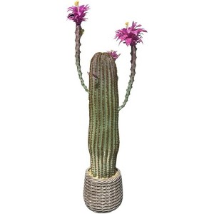 43 Inch Artificial Cactus Potted Plant, Realistic Faux Desert Cacti with Planter for Indoor & Outdoor Decor - 1 of 4