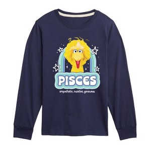 Boys' - Sesame Street - Pisces Big Bird -Toddler and Youth Long Sleeve T-Shirt Long Sleeve Graphic T-Shirt - 1 of 3
