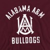Campus Lab Alabama A&M University Official Bulldogs Logo Adult Pull-Over Hoodie - 2 of 4