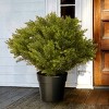 National Tree Company 28" Globe Juniper Artificial Tree: Faux Juniper in Pot, No Assembly, Indoor/Outdoor Use - 2 of 3