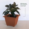 Bloem Dayton Square Resin Planter Pot Indoor and Outdoor Gardening - 2 of 4