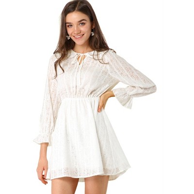 Allegra K Women's Vintage Ruffled Tie Neck Dresses Semi-Sheer A-Line Textured Mini Dress