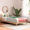 April Lane Art Merry Christmas Tree Comforter + Pillow Sham(s) - Deny Designs - 2 of 3