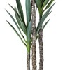 Vickerman Artificial Green Yucca Tree - 4 of 4