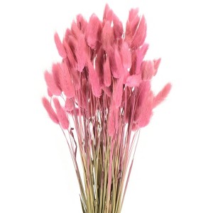 Unique Bargains Decorative Natural Dried Floral Bunny Tail Artificial Plants 120 Pcs - 1 of 4