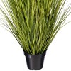 Green/Brown Switchgrass Potted - 3 of 4