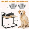 Chery Life Dog Bowl with 2 Stainless Steel Stand - 4 of 4