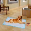 Costway 300 PCS 17'' X 24'' Puppy Pet Pads Dog Cat Wee Pee Piddle Pad Training Underpads - image 3 of 4