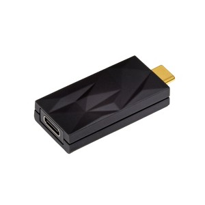 iFi SilentPower iSilencer+ USB Noise Filter C-C - 1 of 2