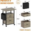Gericco 2 Drawer File Cabinet with 24'' Extended Desktop, Mobile Filing Cabinet, Rolling File Cabinet with Side Bag, Fabric Drawer, Fits A4 Size - 2 of 4