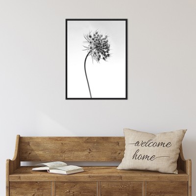 Black and White Botanical Lithograph Canvas Print with Black Frame