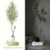 5FT Faux Olive Tree Tall,Olive Trees Artificia Indoor with White Planter - 4 of 4