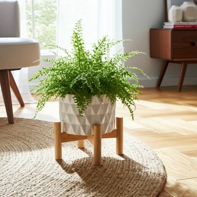 Modern Ceramic Planter with Wood Stand - Indoor & Outdoor Decorative Flower Pot - Textured Ceramic Plant Holder Design for Home & Garden - 6" White