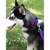 Country Brook Petz 1 Inch Nylon Dog Leash - 3 of 4