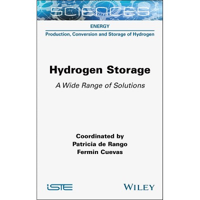 Hydrogen Storage - (Iste Invoiced) by  Patricia de Rango (Hardcover)