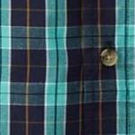 tidal green plaid