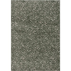 Adirondack ADR104 Non-Shedding Power Loomed Indoor Rugs - Safavieh - 1 of 4