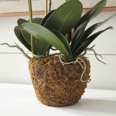 Plum & Post Phalaenopsis Orchid Faux (Fake) Drop-In 30"