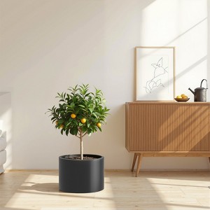 Spassway Indoor Outdoor Round Metal Planter Pot Planter Box Patio Garden Bed Black - 1 of 4