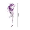 Unique Bargains Natural Dried Baby's Breath Flowers Branches for Wedding Party Decoration Purple 1 Pc - 2 of 4