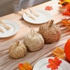 BRINJOY Three-Piece Woven Cattail Pumpkin Set - Handmade Fall Thanksgiving, Halloween Decorations, Rustic Farmhouse Table Centerpiece - 2 of 4