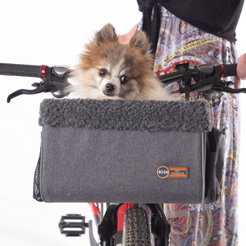 bike with a dog basket