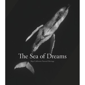 Sea of Dreams: Baja California Natural Heritage - by  Christopher Swann (Hardcover) - 1 of 1