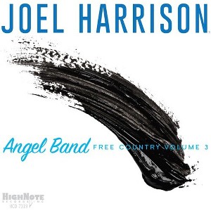 Joel Harrison - Angel Band - Free Country Volume 3 (CD) - 1 of 1