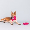 PetShop by Fringe Studio It's My Barkday Dog Plush Toy - 3 of 4