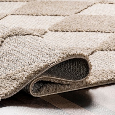 Beige Diamond Pattern Synthetic Area Rug with Tassels, 3' x 5'