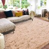 LOVEVOOK Area Rugs for Living Room Bedroom, Fluffy Shag Rugs, Modern Indoor Floor Carpet for Home Decor Aesthetic 4x6 Feet - 4 of 4