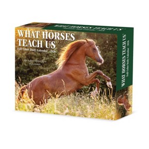 Willow Creek Press 2026 What Horses Teach Us Box Calendar - 1 of 4