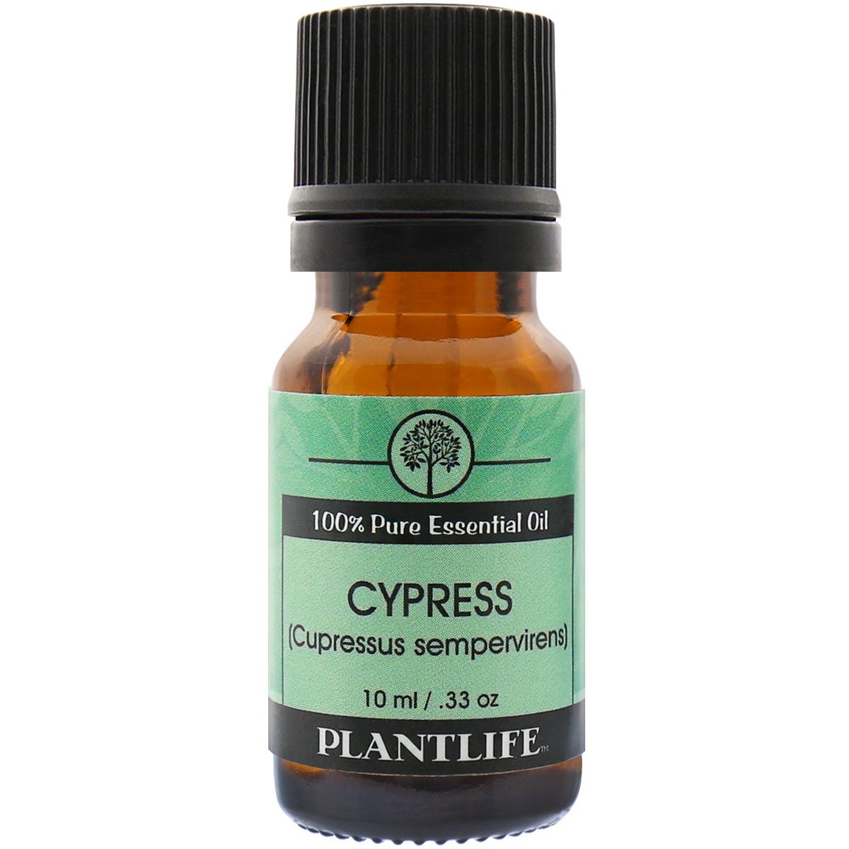 Plantlife Cypress Aromatherapy Essential Oil - Straight from The Plant 100% Pure Therapeutic Grade - No Additives or Filters - 10 ml