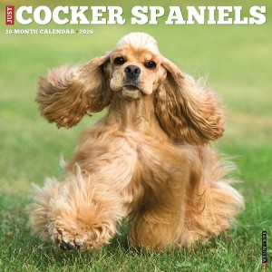 Willow Creek Press 2026 Cocker Spaniels Wall Calendar - 1 of 4