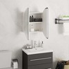 vidaXL Cabinet Bathroom Wall Vanity Mirror Cabinet with Round Mirror and LED - White 15.7" x 15.7" x 6.9" - 4 of 4