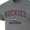 NHL Colorado Rockies Men's Gray Vintage Tri-Blend T-Shirt - 3 of 3