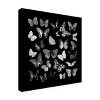 Canvas Wall Art - Tom Quartermaine 'Black and White Butterflies Square' Wall Art for Living Room, Bedroom, or Office Décor by Trademark Fine Art - 24 - 2 of 4
