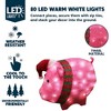 Joyfy 21'' 3D Pig Christmas Yard Light Decoration with 80 LED Warm White Lights for Christmas Event Indoor Outdoor Yard Garden Decorations - 2 of 4