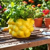 Cheerful Planter Pot Perfect for Indoor or Outdoor Herbs, Ferns, or Succulents - Modern Pot for Indoor - Great for Garden and Patio Decor - 3 of 4