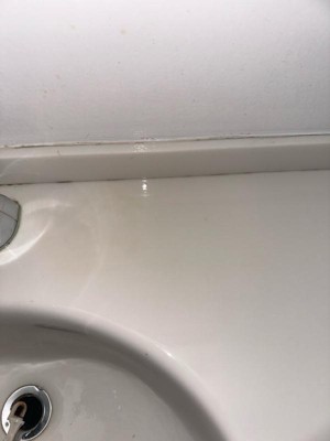 Guest review image 1 of 4, zoom in