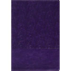 Amplified Holy Bible, Large Print, Leathersoft, Purple - by  Zondervan (Leather Bound) - 1 of 1