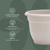 Bloem Ariana Round Resin Planter Pot Indoor and Outdoor Gardening - 3 of 4