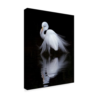 Trademark Fine Art -Ben Li 'Watching White Bird' Canvas Art