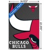 Trends International NBA Chicago Bulls - Logo 14 Unframed Wall Poster Prints - 3 of 4