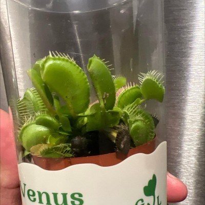 Guest review image 1 of 1, zoom in