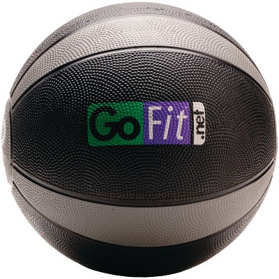 Guide Ball - Pro Grade Stability Ball –