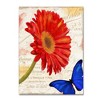 Trademark Fine Art -Color Bakery 'Gerbera Daisy' Canvas Art - 2 of 3