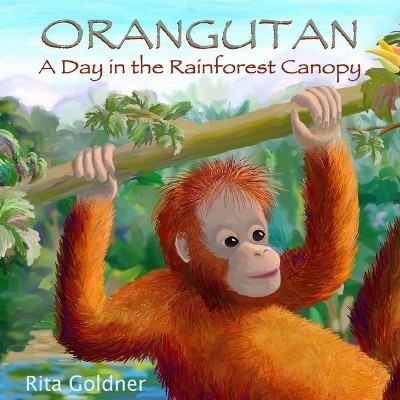 Orangutan - by  Rita Goldner (Paperback)