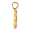 Black Bow Jewelry 14k Yellow Gold 2D Satin and Diamond Cut Pig Pendant - 2 of 4